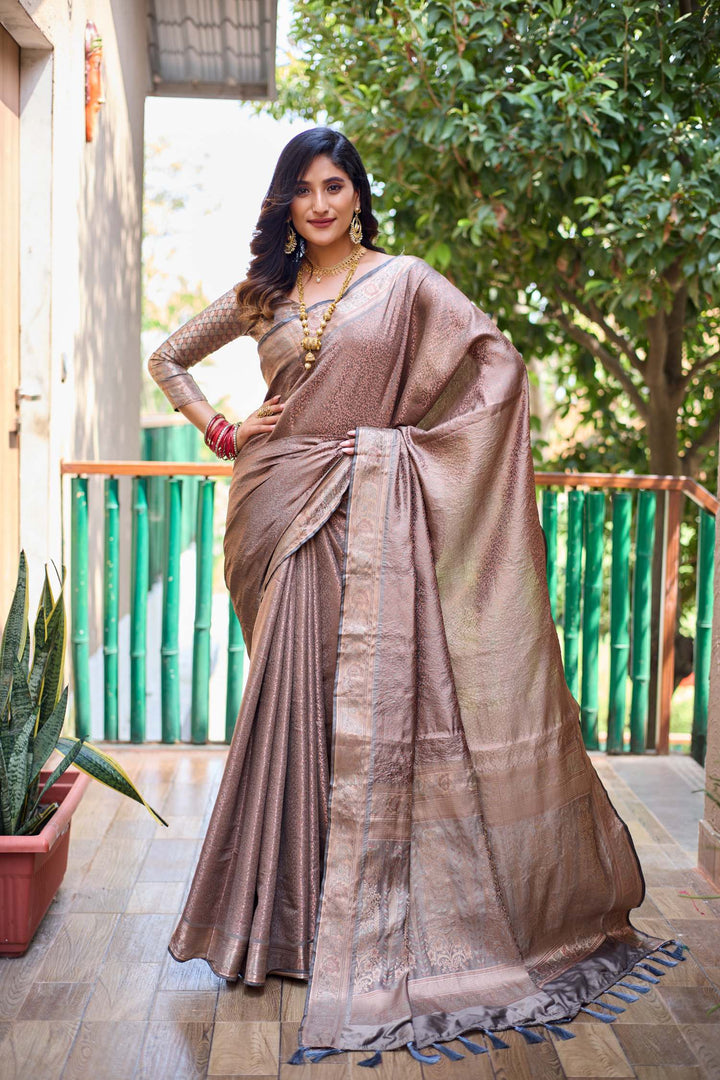 Silver Brown Soft Kubera Dharmavaram Pattu Saree - PAHRAVA