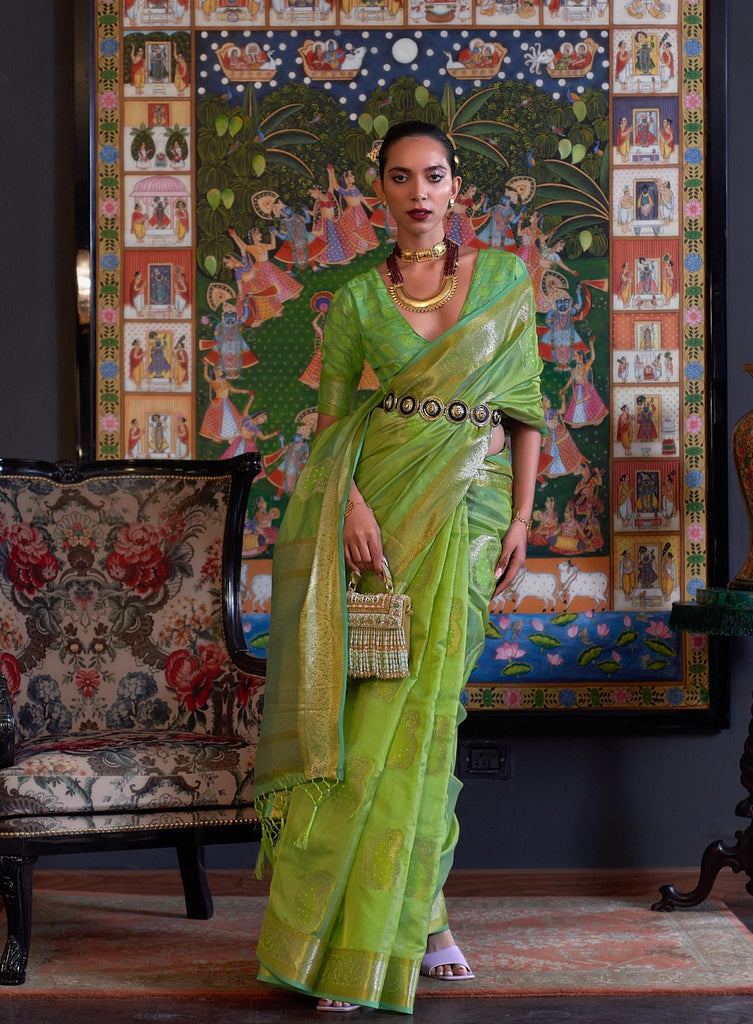 Light Green Handloom Organza Saree with Sequins - PAHRAVA