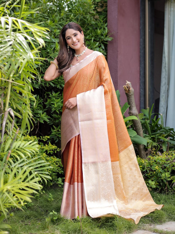 Orange Banarasi Handloom Zari Saree.