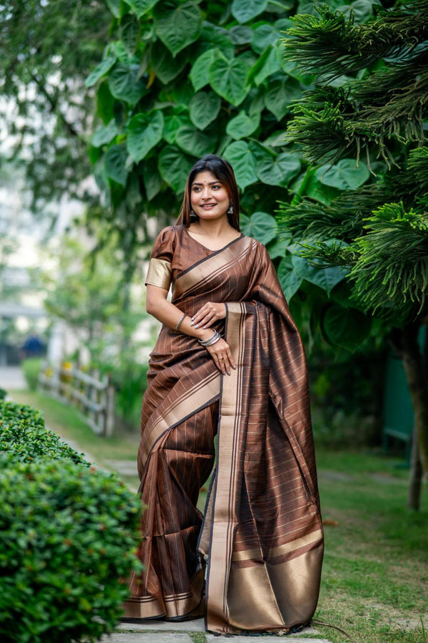 Chocolate Brown Zari Lining Pattern Banarasi Raw Silk Saree.