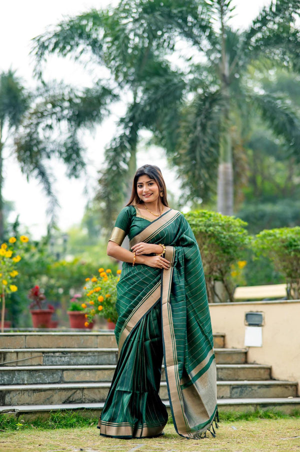 Dark Green Zari Lining Pattern Banarasi Raw Silk Saree.