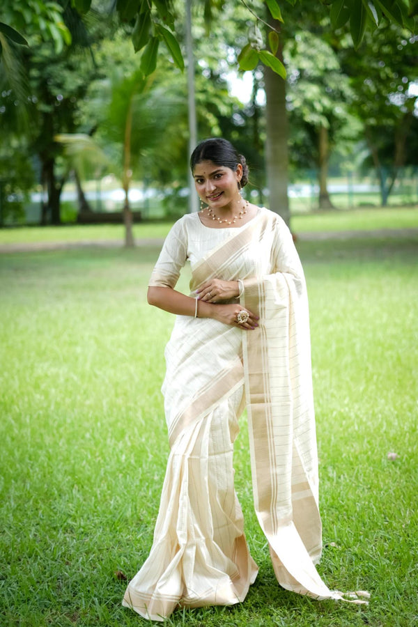 Pure White Banarasi Raw Silk Saree