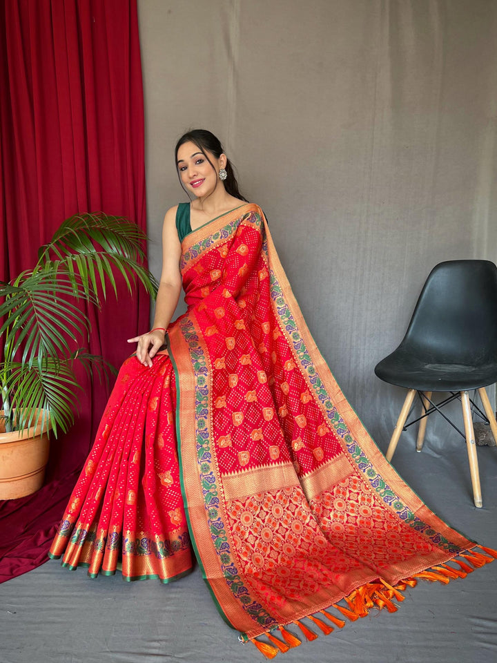 Bold Red Pure Kachii Patola Silk Saree - PAHRAVA