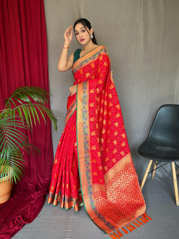 Bold Red Pure Kachii Patola Silk Saree - PAHRAVA