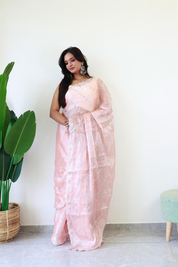 Peach Embroidery and Sequin Silver Work Jimmy Choo Saree.