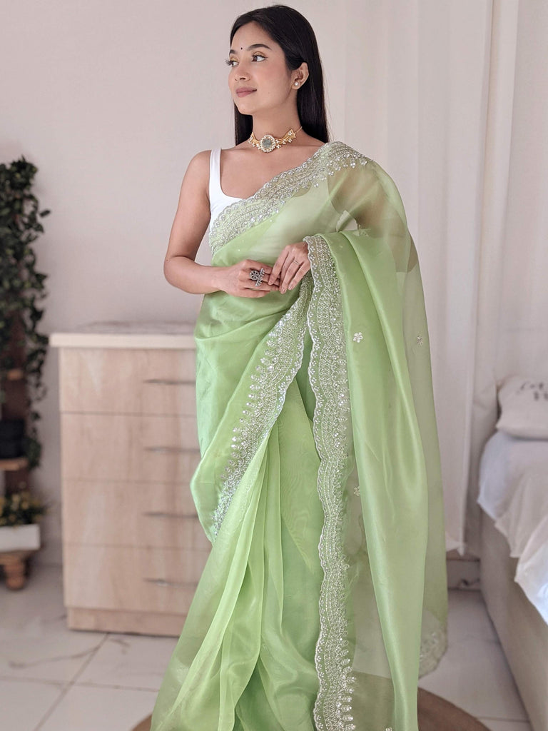 Pista Green Pure Organza Silk Saree With Cutwork Border With Fully Handwork Sequence Work - PAHRAVA